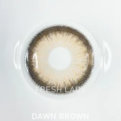 2022 Liangguo Fresh Lady New Series Euphoria Gray Illusion Wholesale Fashion Eye Colored Contact Lenses Lentes de Contacto