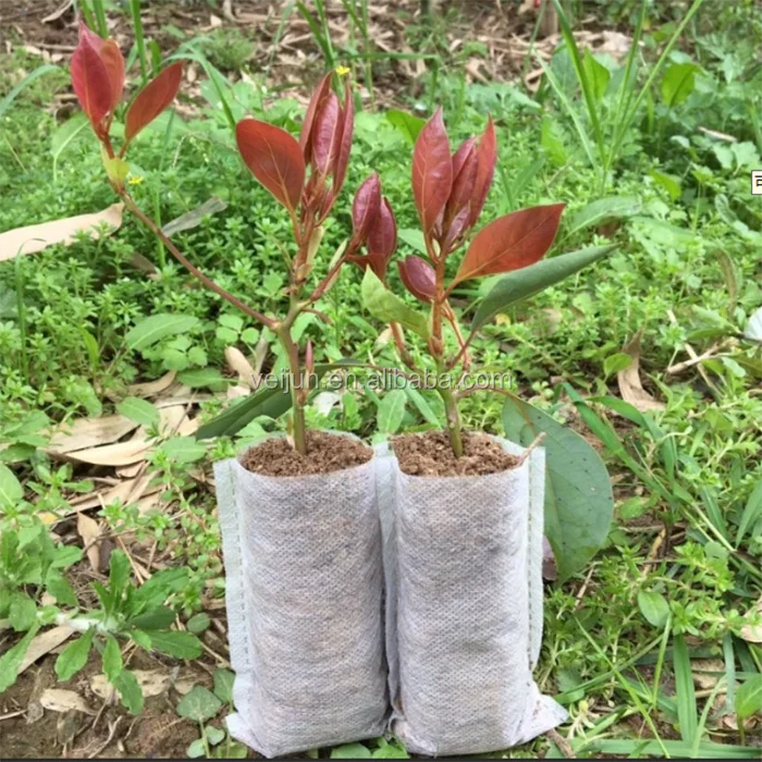 
Biodegradable eco-friendly non woven seedling bags/grow bags 