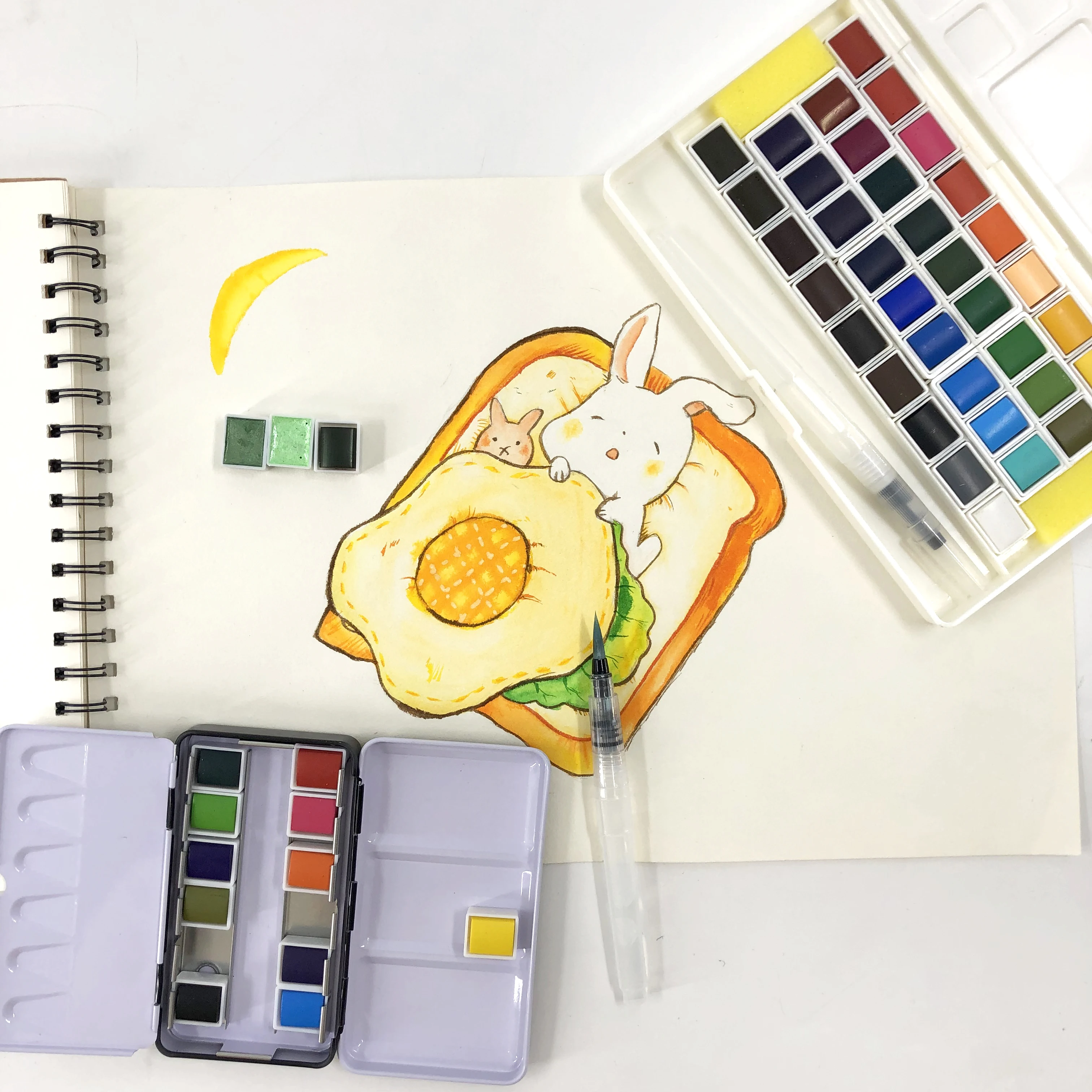 Multicolor Colors Professional Watercolor Paint Set