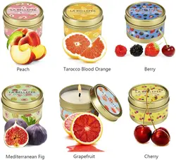 Wholesale OEM factory fruit scented candle gift set natural soy wax travel tin candle with fruit scent