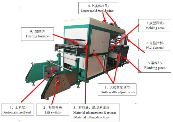Meat Blister Packaging Trays Vacuum Forming Machine