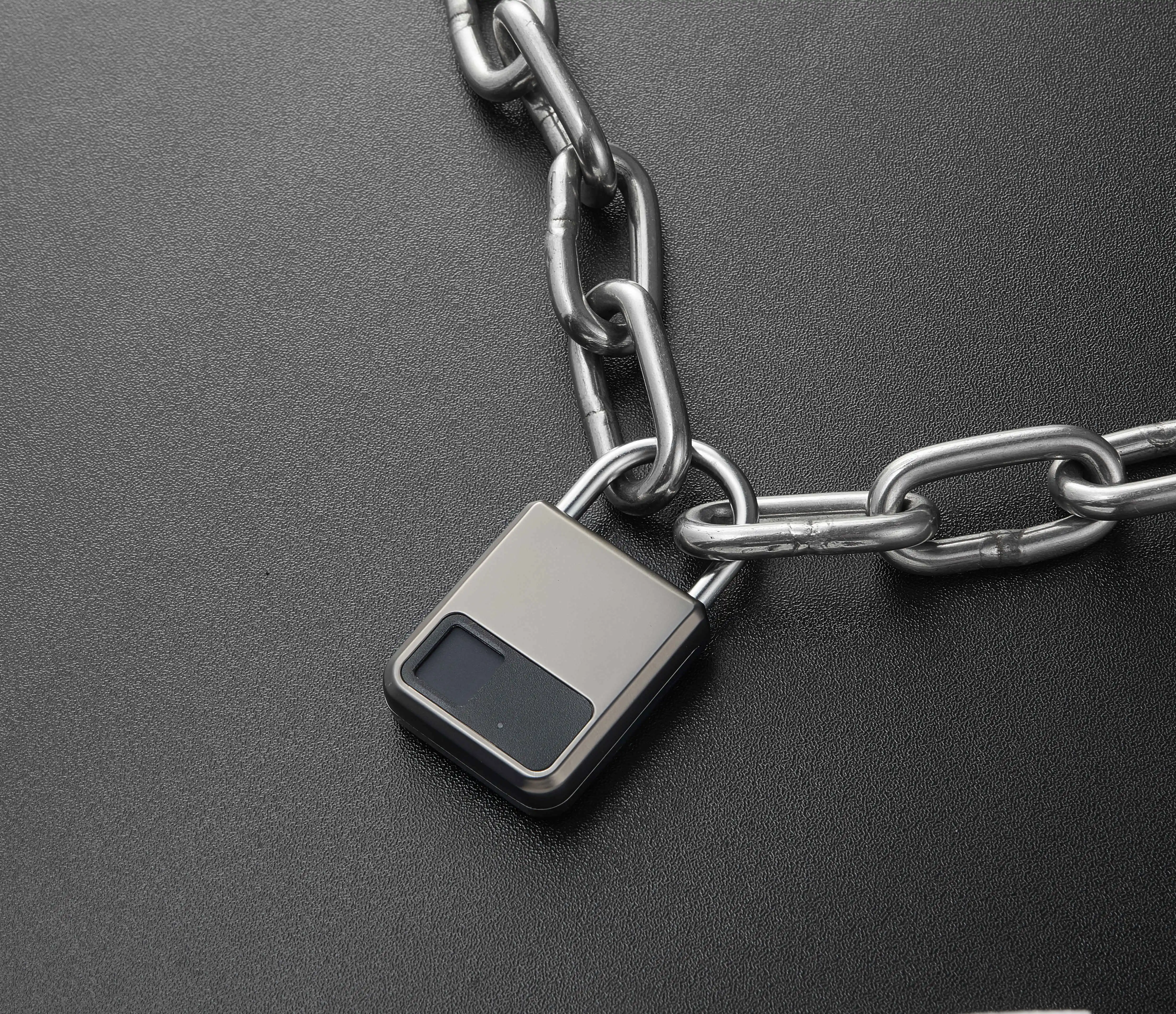Top Security House Padlock Suitcase Lock Fingerprint