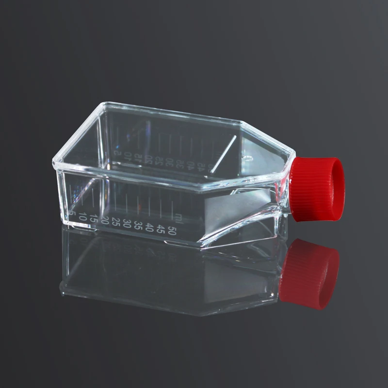 
Good quality factory directly 25cm2 Cell Culture Flask TC-treated 