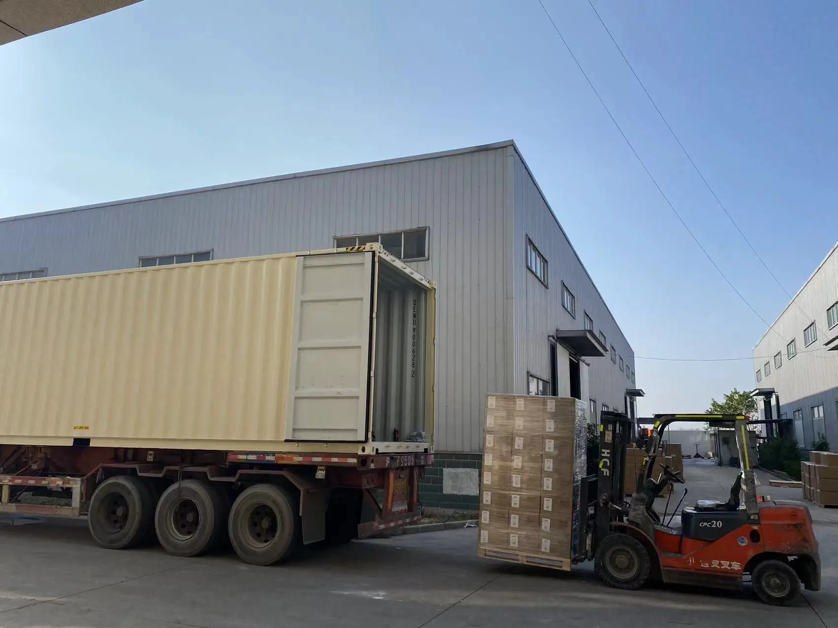 50g Stayfresh gas CO2 absorber used in peeled garlic storage for roasted coffee beans