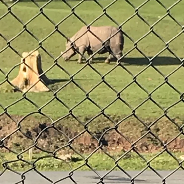 Farm and Field galvanized chain link fence wire mesh grass chain link fence