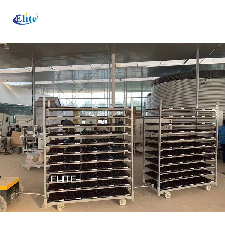 Danish dutch garden greenhouse iron flower transport trolley