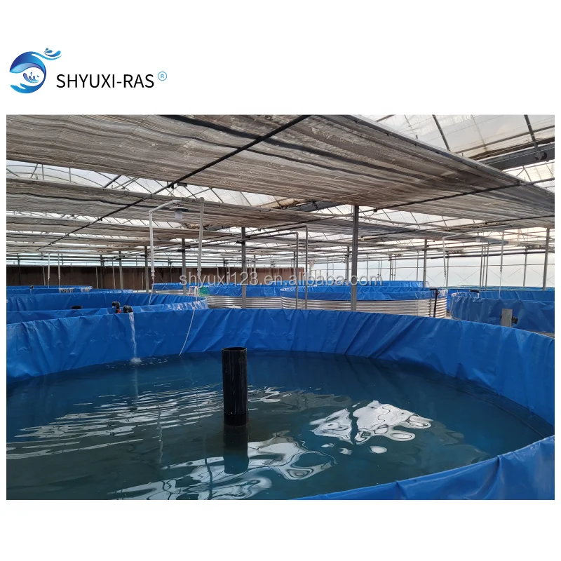 
High Density Recirculating Aquaculture System salmon Farming indoor RAS 