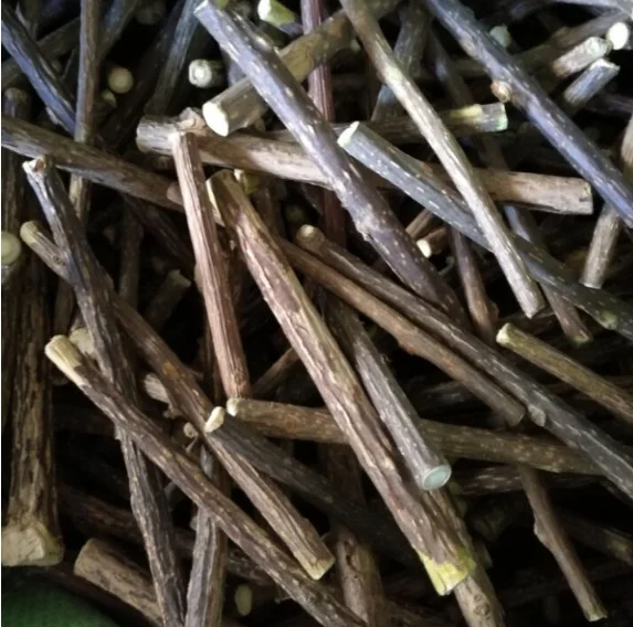 Factory Supply Cat Chew Toy Natural Dried Actinidia Polygama Sticks Silver Vine Sticks Matatabi Sticks