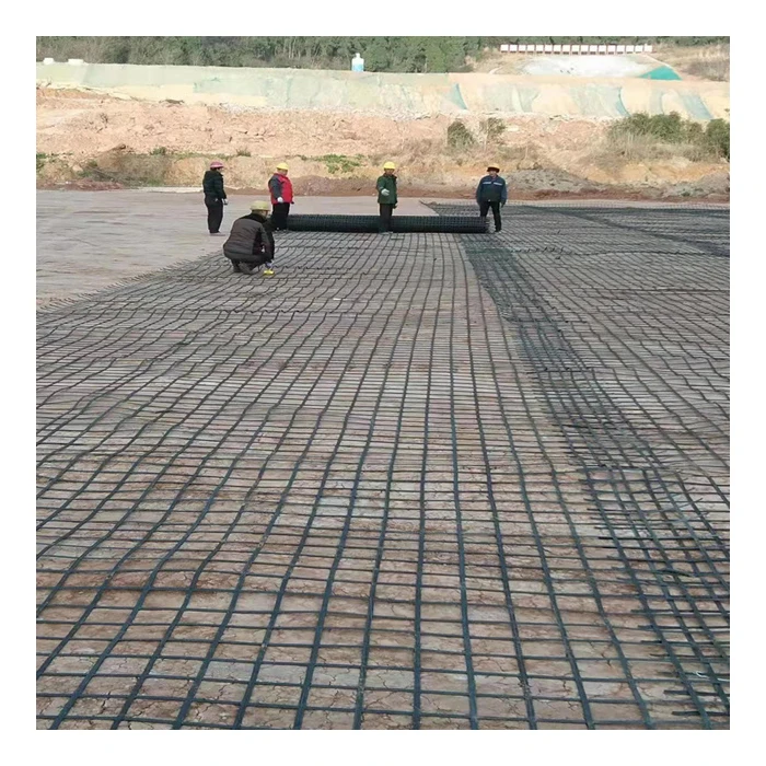 High Tensile Strength Polyester Tape Bonded Geogrid Supplier Factory Price