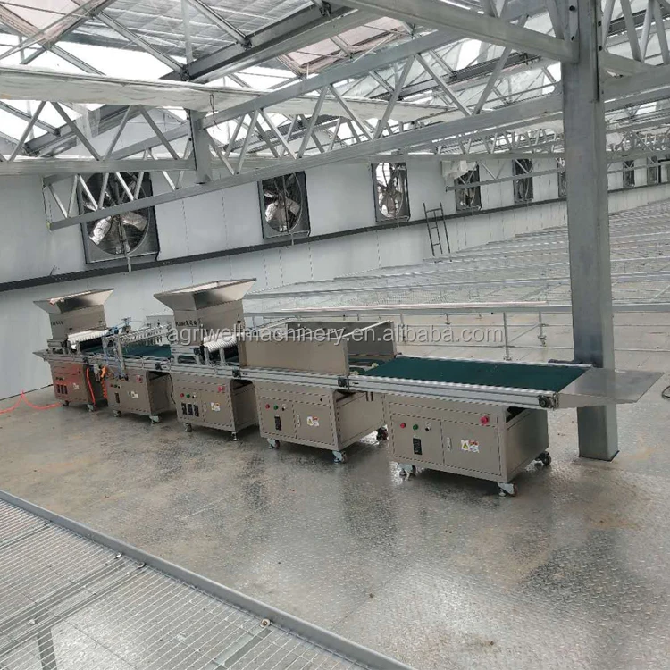 Fully automatic plug tray seedling machine feeding and soil covering seeding sprinkling machine vegetable tray seedling seeder