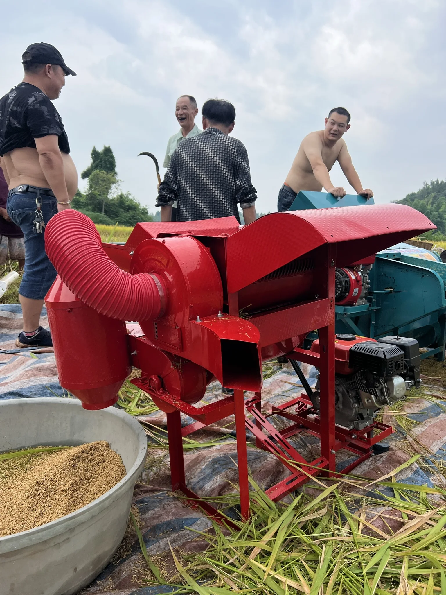 Maize Thresher For Sale Maize Thresher  small scale sorghum soybean paddy rice wheat peeler corn sheller thresher machine