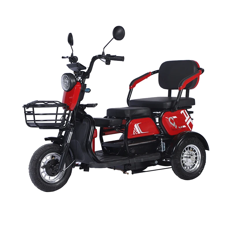Manufacturer Export Good Price Lead Acid Battery Electric Battery Tricycle