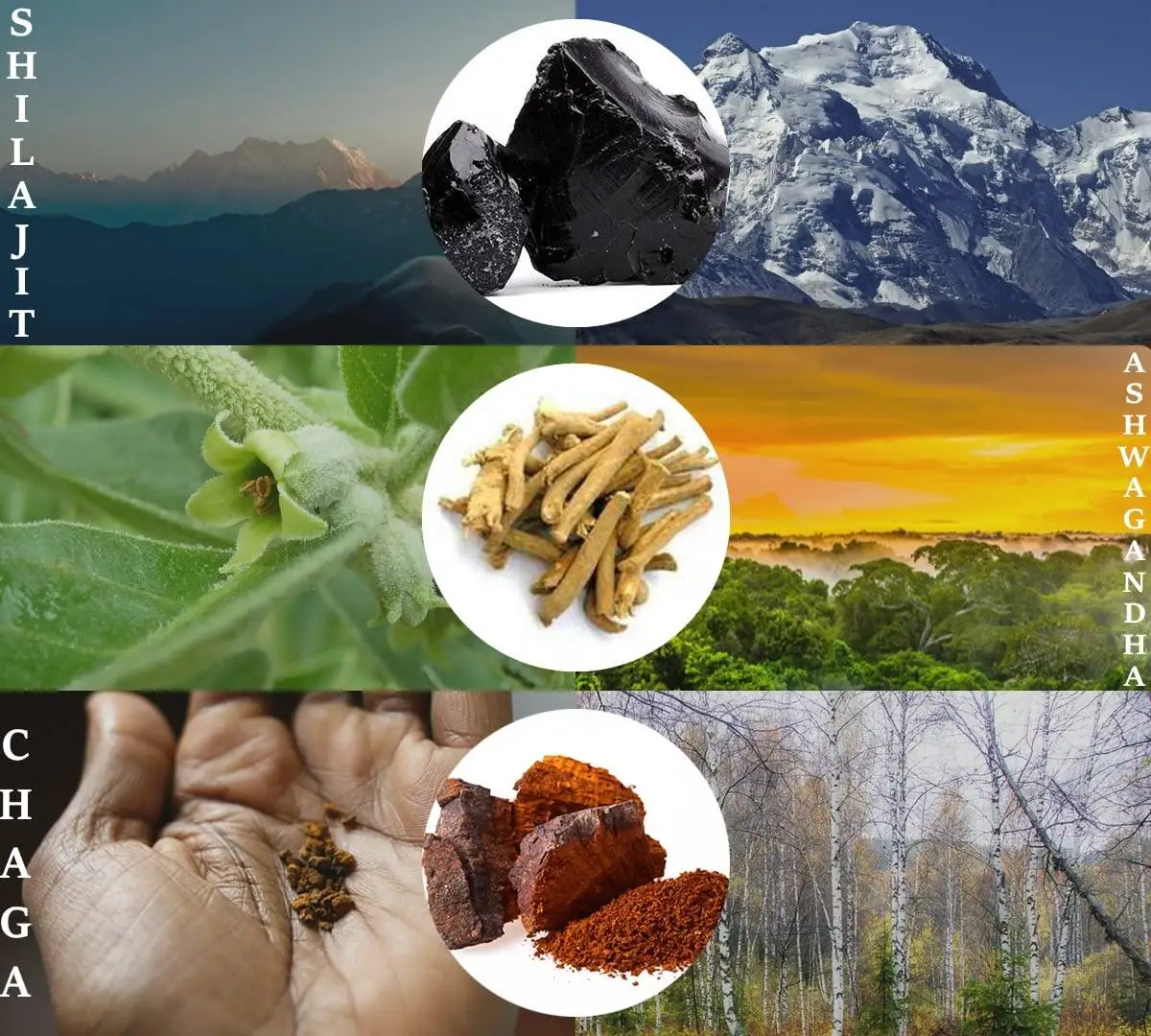 OEM Pure Shilajit Extract Gummies Himalayan Organic Shilajit Resin Gummies for Energy Support and Brain Memory Shilajit Gummies