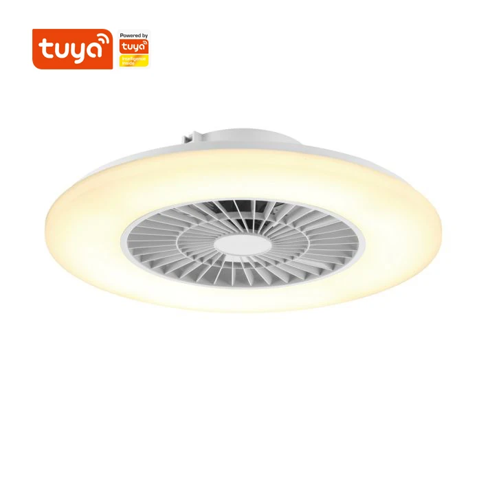Best Price Superior Quality Cheap Decorative Smart Ceiling Fan With Light Modern