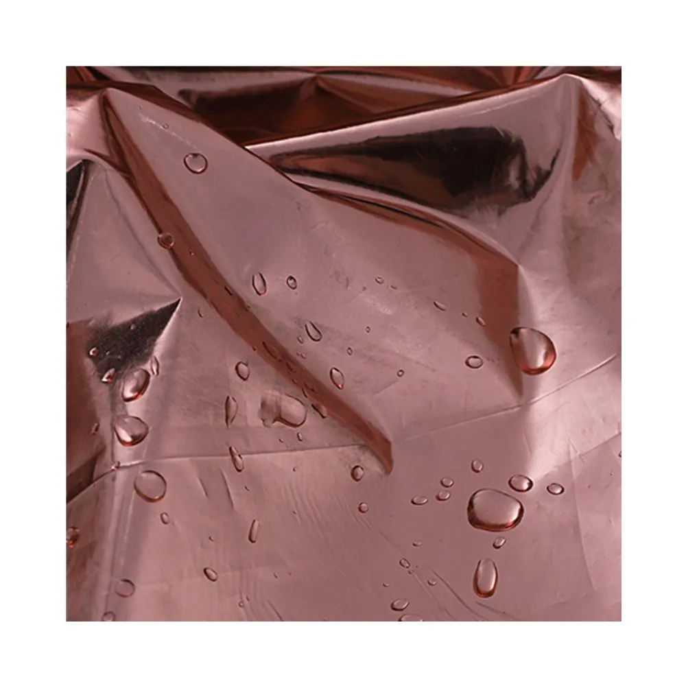 2019 Горячая продажа модная простая Золотая фольга печать нейлон Тафта Ткань для пуховика