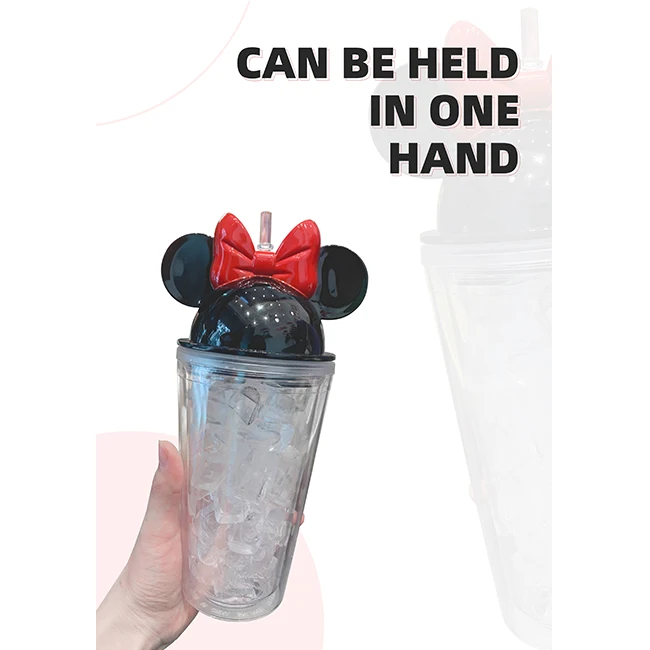 
Homefish OEM Cute Style 450ml Mickey Lid Double Wall Acrylic Plastic Insulated Travel Tumblers Minnie Tumbler With Straw For Kid 