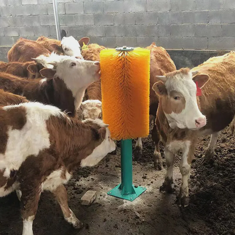 Прямая Продажа с завода щетка для крупного рогатого скота массажная Когтеточка корова