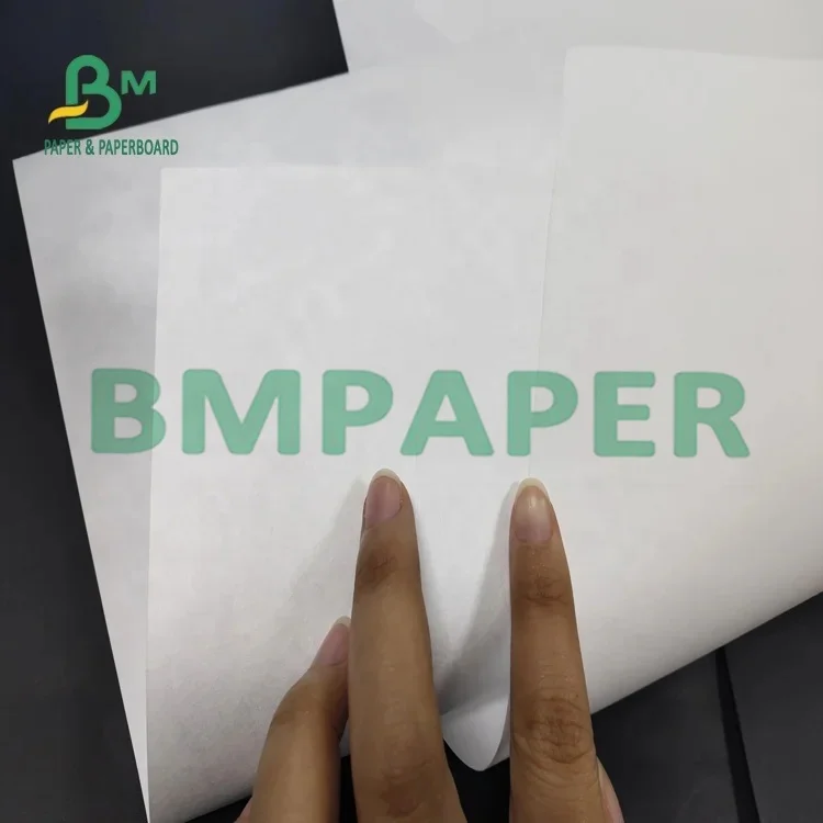 787mm Width Coated White 1025D Tyvek Paper  For HP Cannon Inkjet Printer