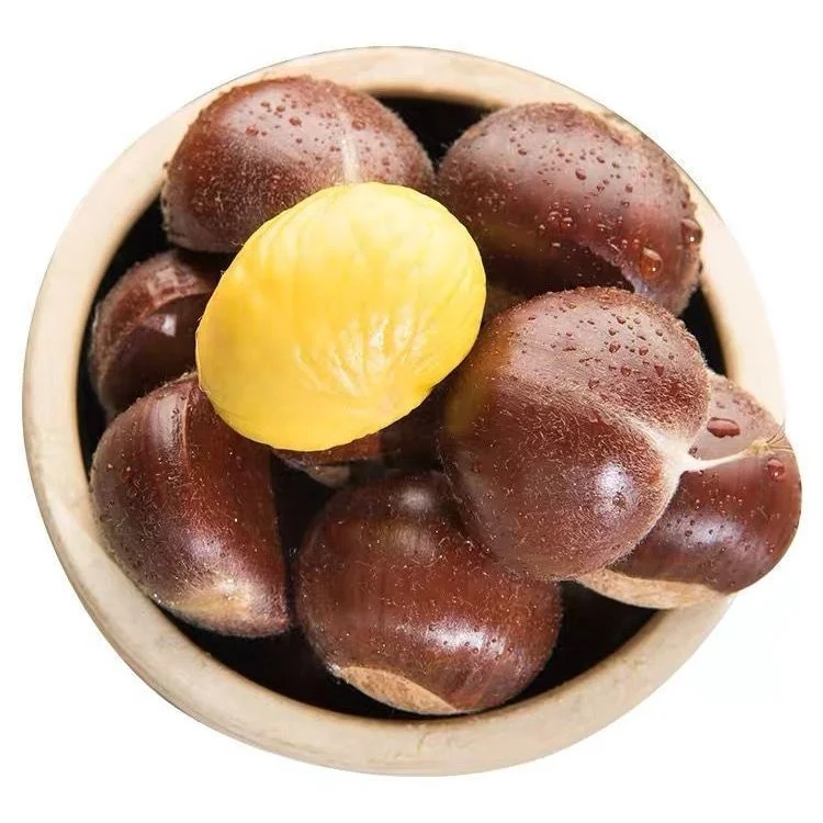 2022 Sweet Taste Edible Chestnuts Organic Chestnuts