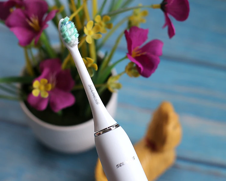 IPX7 Водонепроницаемая электрическая звуковая зубная щетка перезаряжаемая звуковая электрическая зубная щетка