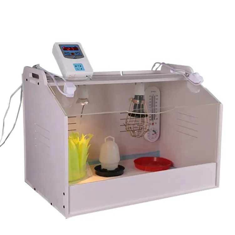 Heating Raise Small Size Crawling Duck Goose Quail Rare Birds Chicken Brooder Breeding Box Brooder For Baby Poultry