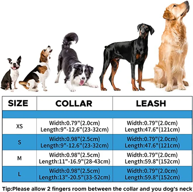 Waterproof Durable PVC Dog Collar with Leash Set Simple Solid PVC Dog Collar with Leash Set