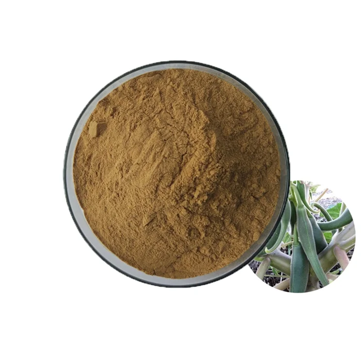 Bulk Price Pure RG3 Ginsenoside Panaxosides Root Panax Powder Ginseng Extract