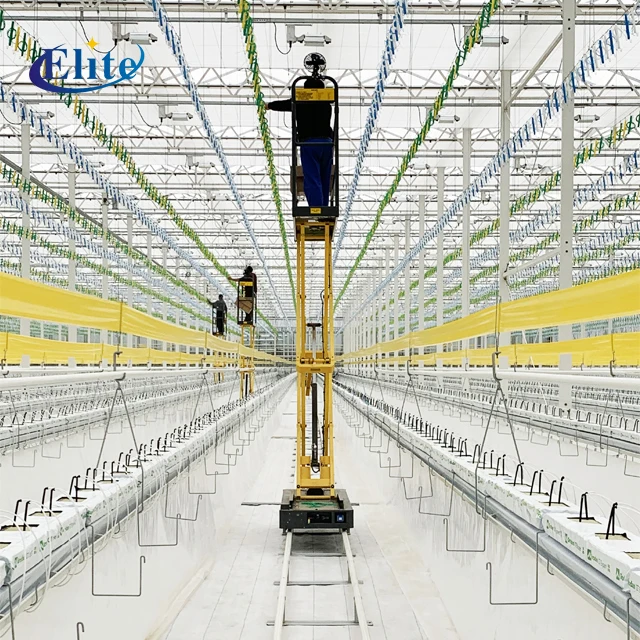 Greenhouse electric  tomato picking pipe rail trolley Chinese supplier