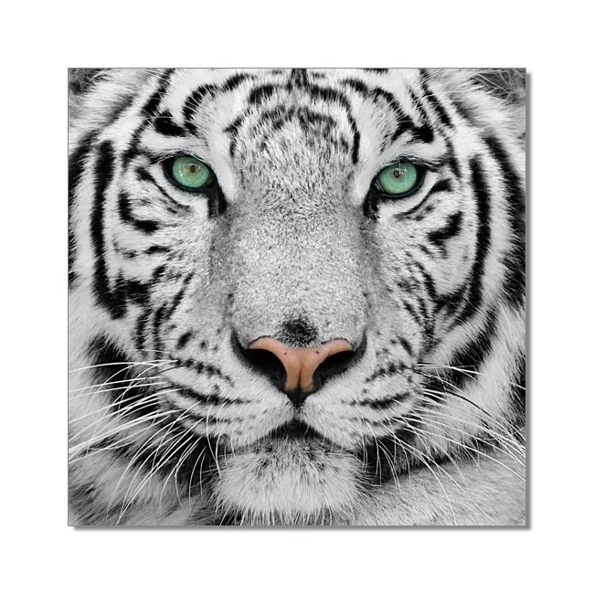 Hot Sales Crystal Clear Animal Black&White Tiger Acrylic Wall Art Prints Canvas Art Work Acrylic Painting Oil Painting for House