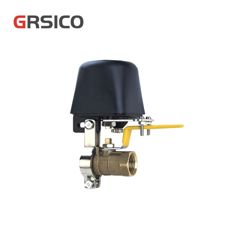 Tuya Smart App Wifi Remote Control Automatic Shut Off Valve for Gas Stoves and Water Pipes Support Amazon Alexa