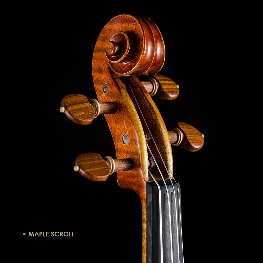 CHRISTINA S100A Famous Brand Violin with Spruce Face and Brazil Wood Bow Performance Level with Free Case & Strings