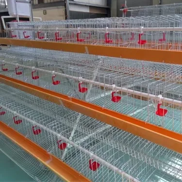 Automatic Poultry Farming Cheap Layer Chicken Cage System For Chicken Coop