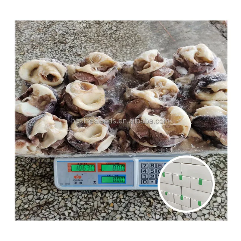 Frozen Cut Open Block Frozen Size 500 Giant Squid Neck for Thailand Market