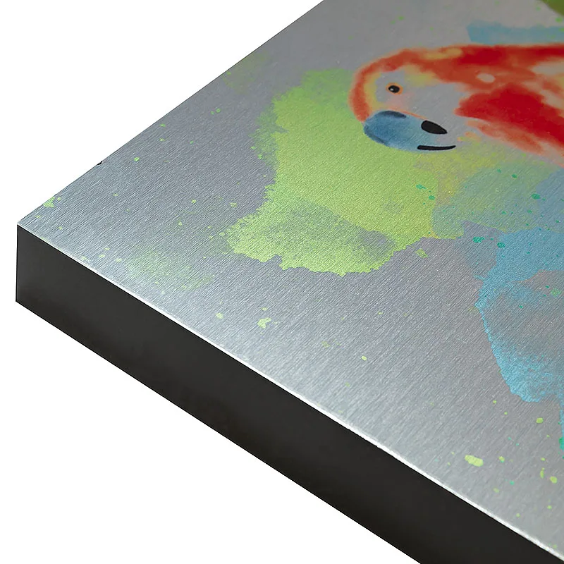 Ink Painting UV Printing Colorful Bird Aluminum Wall Art Decoration