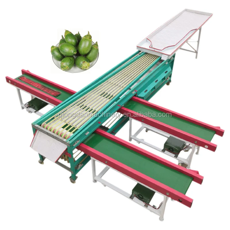 Vegetable/fruit sorting machine Olive Jujube Date palm Plum lemon Strawberry Blueberry Shame Areca Mangosteen grading machine