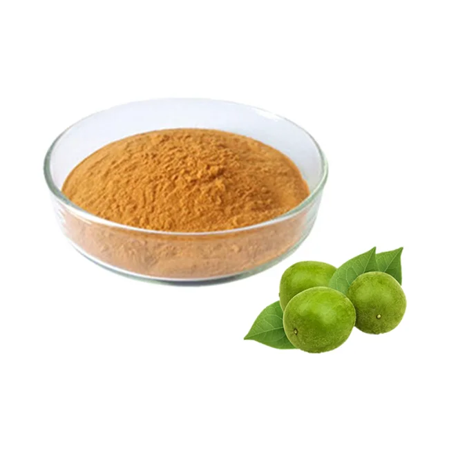 Natural Monk Fruit Extract  Mogroside V Luo Han Guo Extract  88901-36-4 in Bulk