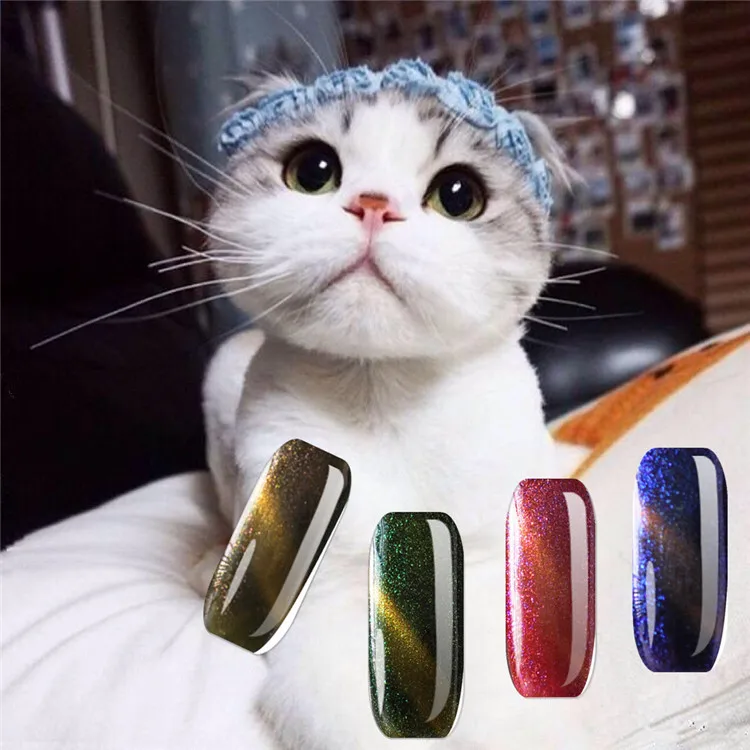 
New technology no wrinkle art kit vegan nail polish cat eye uv gel gel polish 