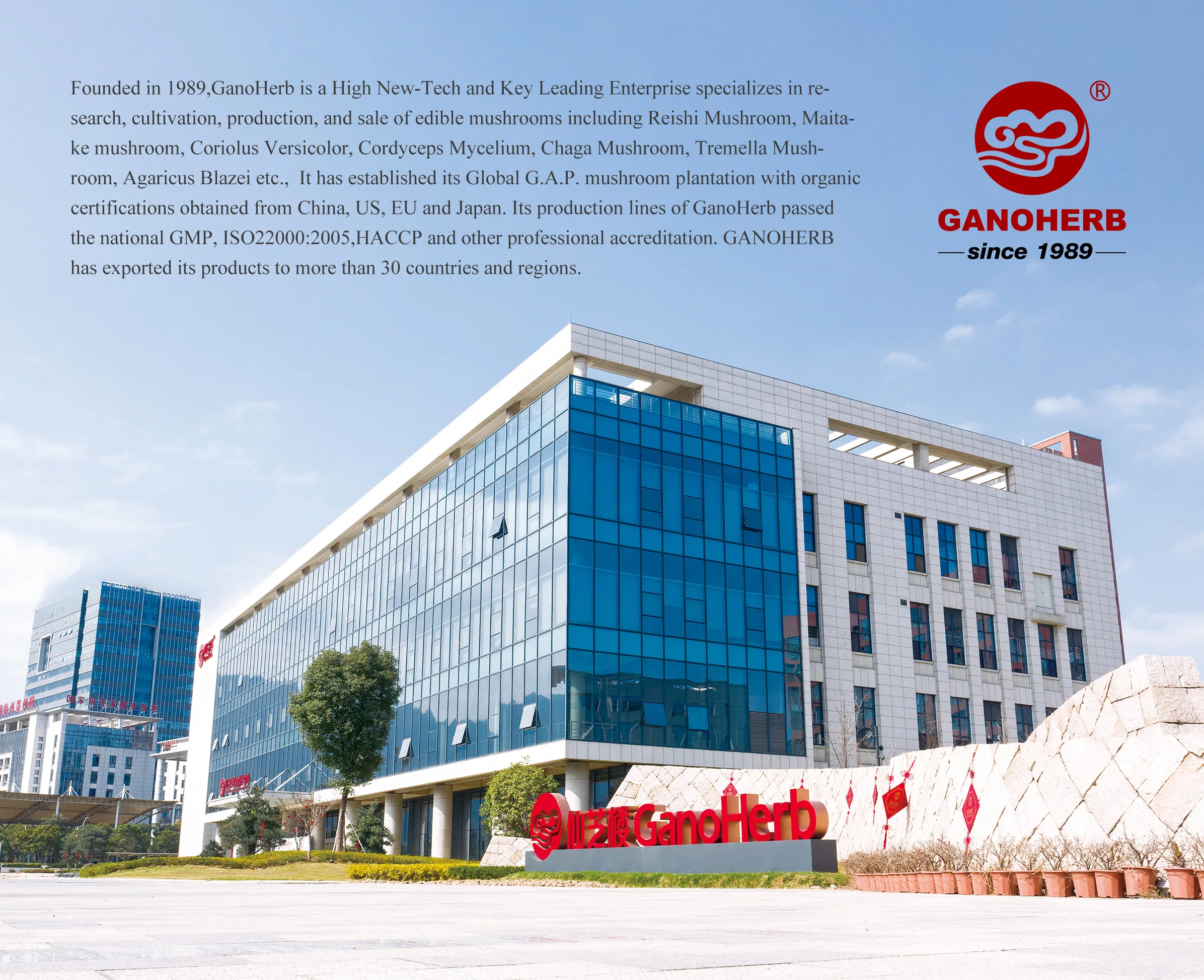 Extraits de Plantes 100% Organic Enoki Mushroom Extract Powder Polysaccharide BETA GLUCAN