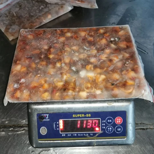 Замороженный блок моллюска крови без