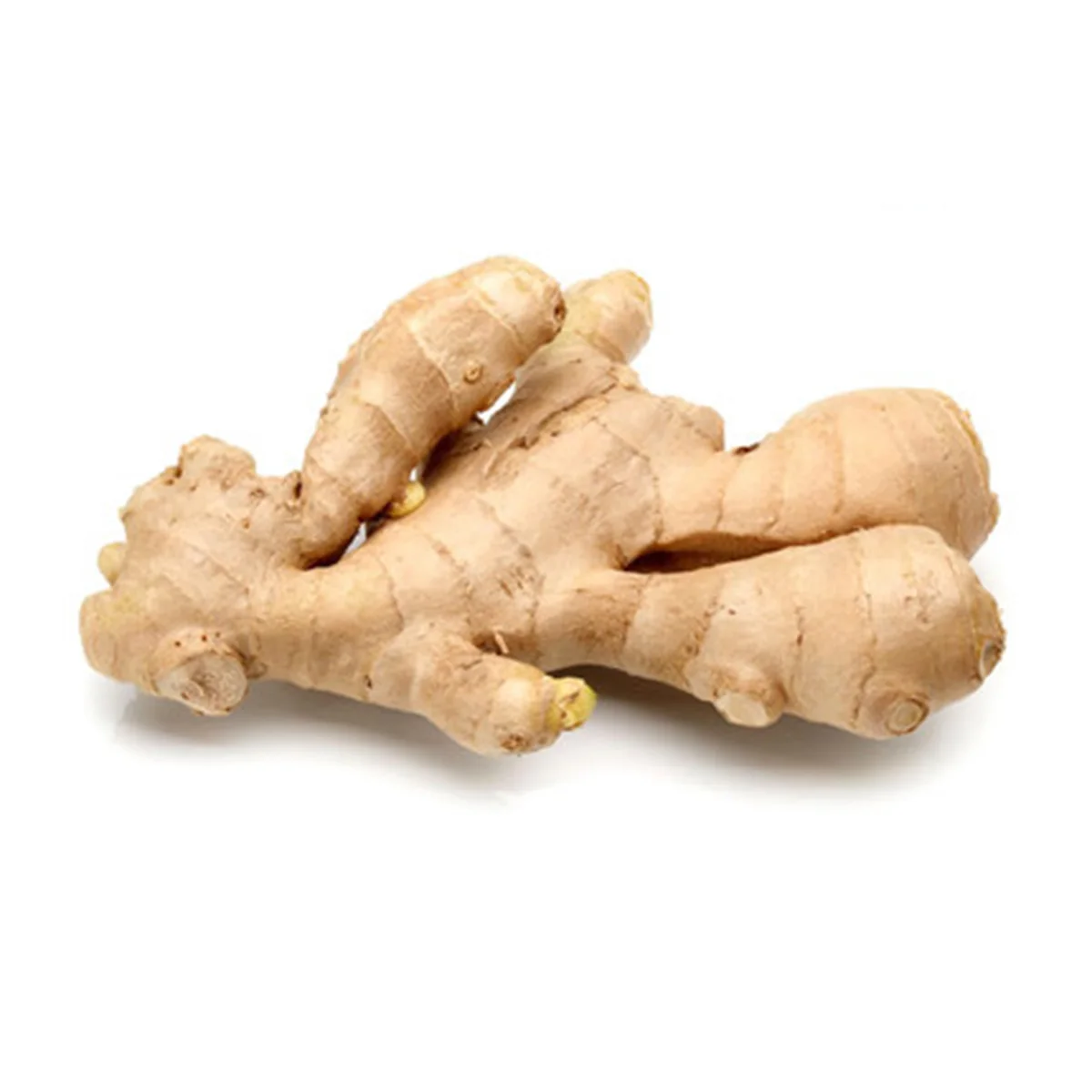 latest products 2024 China low price dried bulk big spicy mature dry ginger for ginger oil