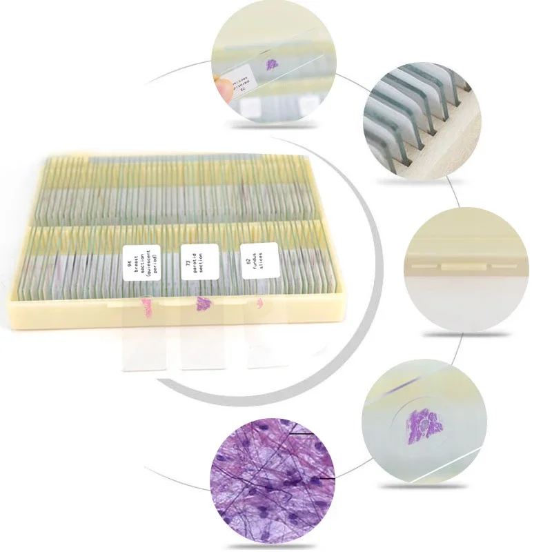 medical science Prepared Glass Microscope Slides for Student science research for human histology slides