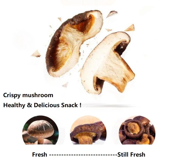 Different Flavors Dried Crunchy Mushroom Salt Pepper / Black Truffle /original Vacuum Fried Crispy