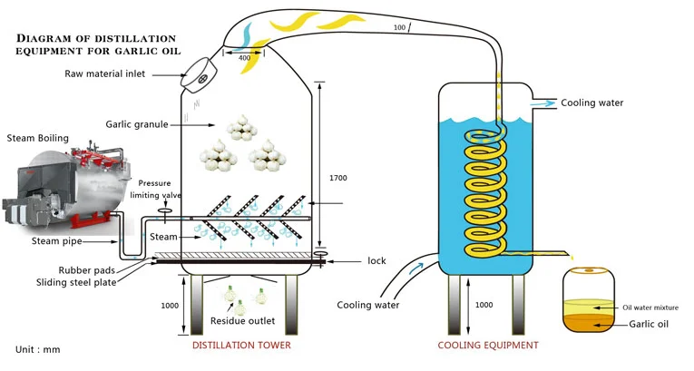 Pure Steam Distilled Natural Garlic Oil for Health Care