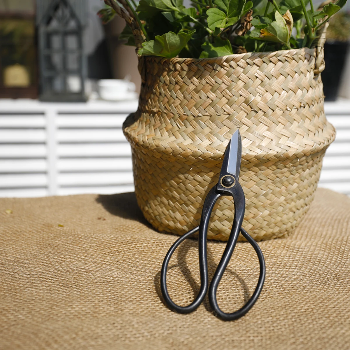Carbon Steel Flower Tree Shear Bonsai Plant Pruning Scissors Garden Hand Pruner