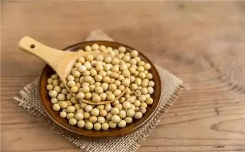 Superior Natural Agricultural Product Organic Quality Soybean