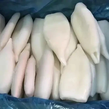 Frozen Seafood Squid Tube Factory Price for Sale with High Quality Wholesale U3 U4 U5 U7 Hot Sale from CN;FUJ Customizable 10 Kg