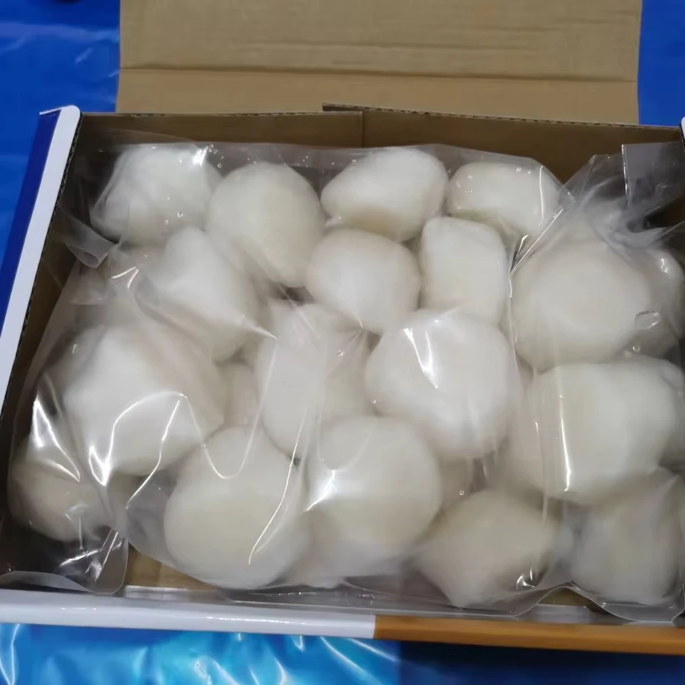 New Season Good Price Frozen Sea Scallop Meat Hot Sale in Scallop