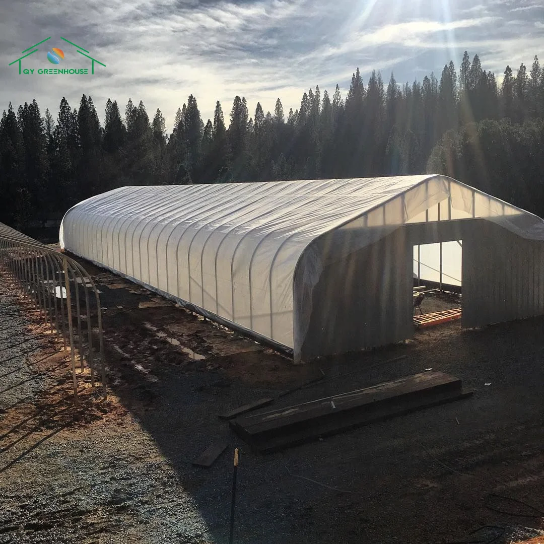 Multispan greenhouse polycarbonate green house Light Deprivation Blackout Greenhouse for medical plants growing