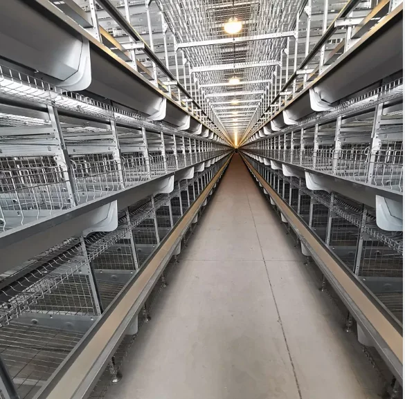 Low cost multi-layer automatic feeding stacked chicken cage with galvanized frame for poultry farming
