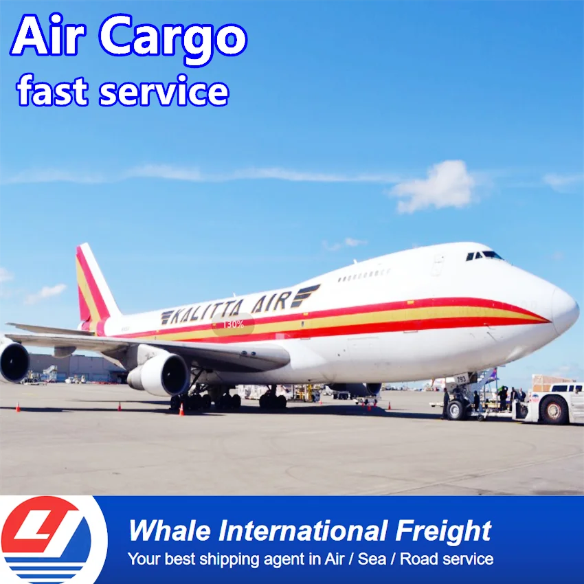 air cargo agent service to Mexico MEX  project shipment envio